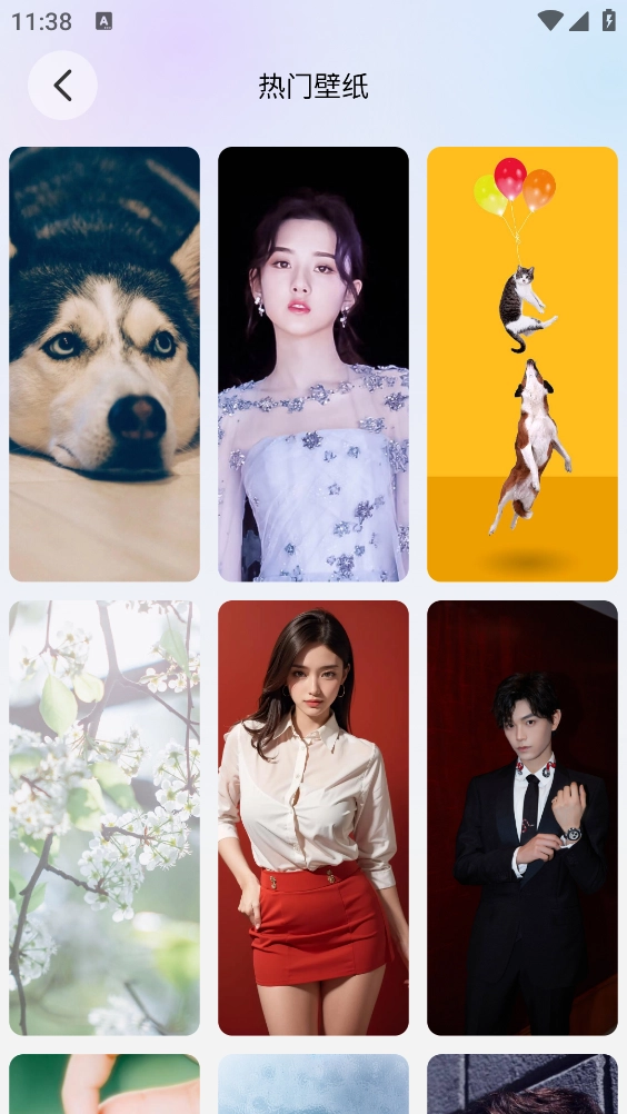 萌貓派對(duì)壁紙圖2