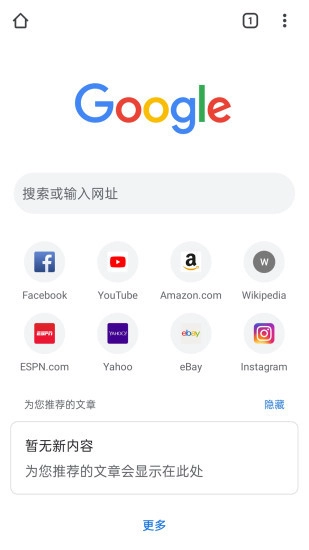 谷歌chrome浏览器图1