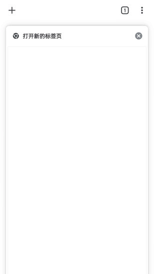 谷歌chrome浏览器图2