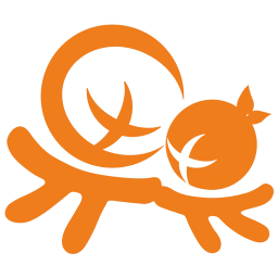 果而优习字软件