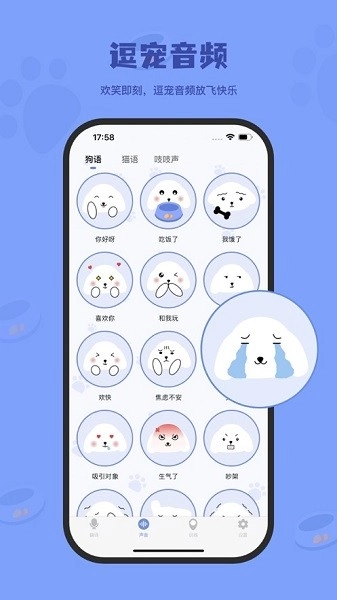 小白交流翻译图4
