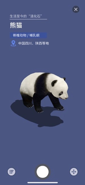 大眼探世界地球仪安卓版-图2