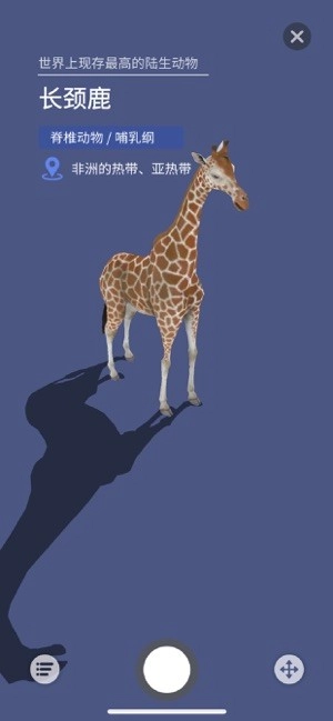 大眼探世界地球仪安卓版-图5