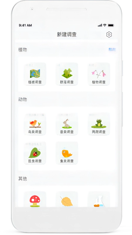 北极花生物调查(2)