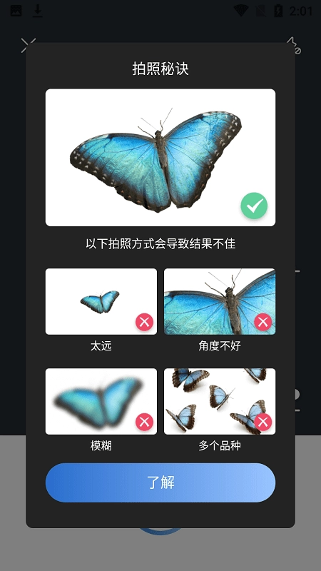 picture insect(拍照昆虫识别)图3