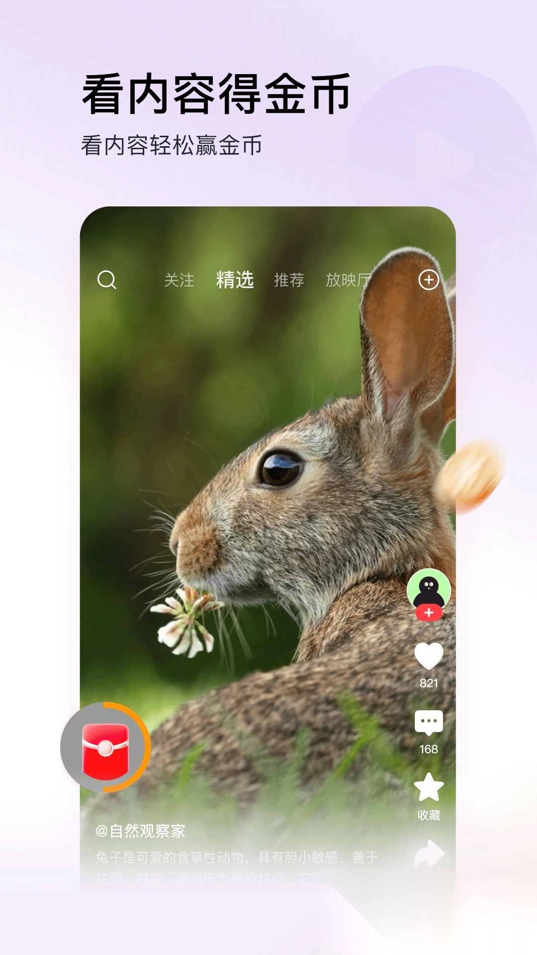 今日头条极速版(5)