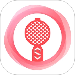 智麦麦克风软件