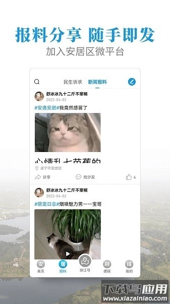 安居融媒体客户端