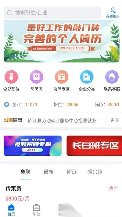 魅力庐江人才网