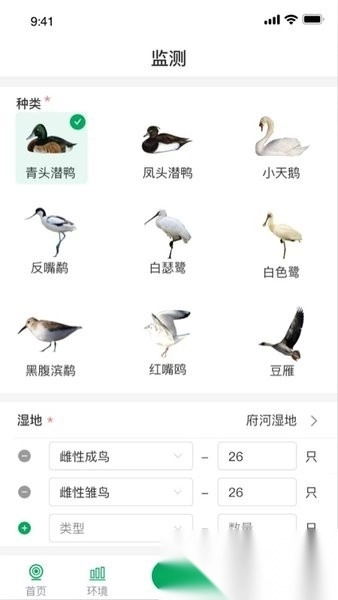 青头潜鸭手机版