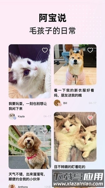 阿宝说手机版图4