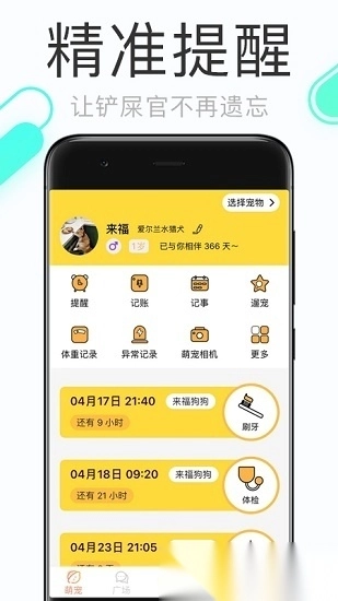 铲屎官的日常图4