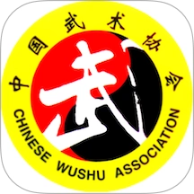 中国武术安装手机版