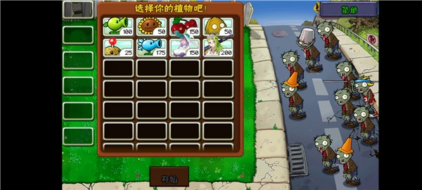 植物娘大战僵尸庄不纯版