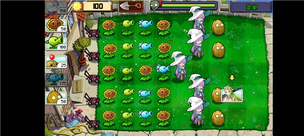 植物娘大战僵尸庄不纯版