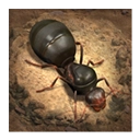 小小蚁国(The Ants)