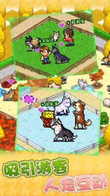 发现狗狗乐园最新版