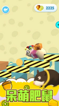 仓鼠历险记图4