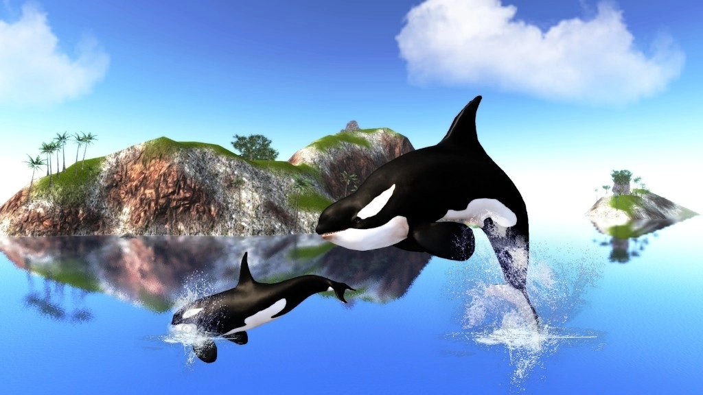 虎鲸模拟器(The Killer Whale)
