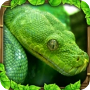 蟒蛇模拟器