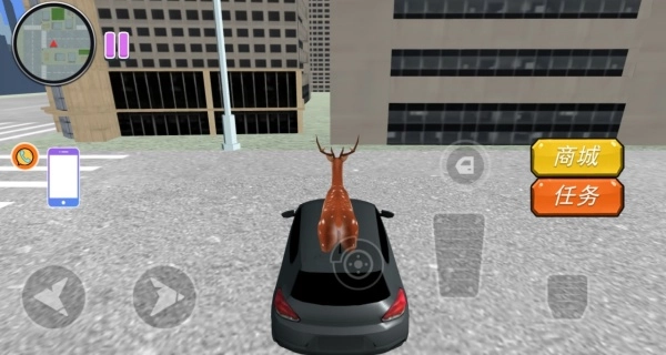 奥秘森林动物冒险(1)