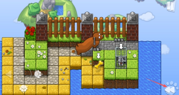 全家小狗救援队(2)