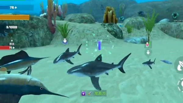 大鲨鱼吃小鱼(2)