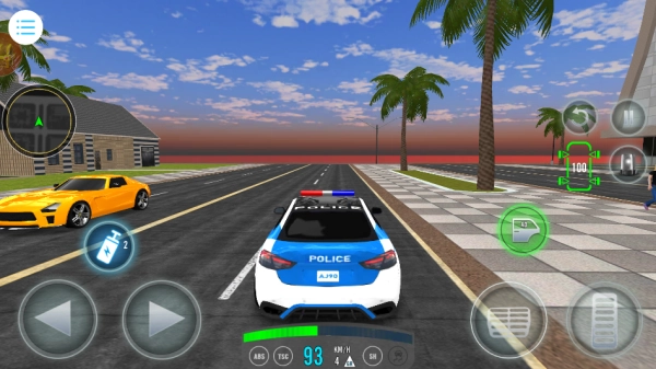 警察抓捕行动(3)