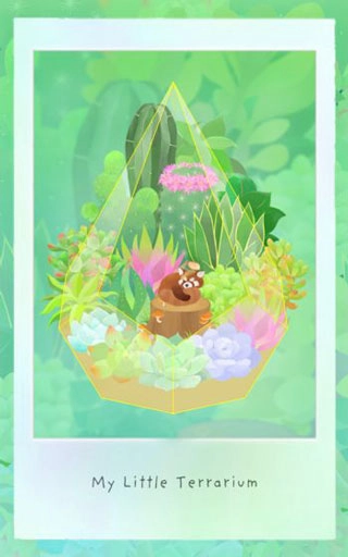 我的水晶花园(My Little Terrarium)