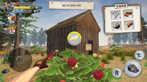 荒野废土求生(单机版(4)