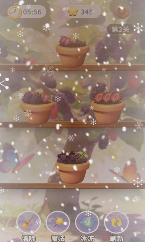 美丽桑葚图鉴(1)