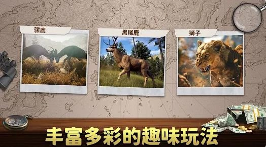 动物猎人荒野狙击手(Animal Hunter - Wild Sniper)(3)