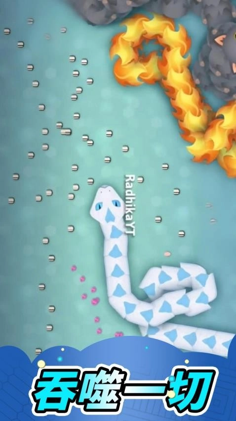 贪吃蛇蛇年版图2