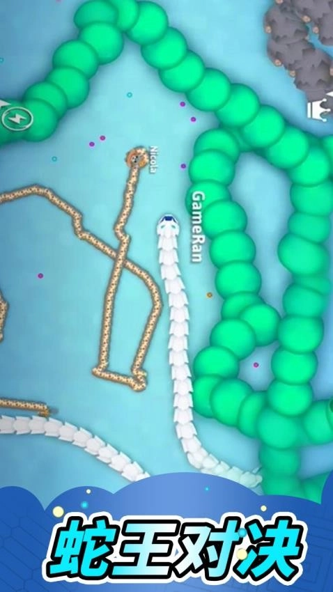 贪吃蛇蛇年版图3
