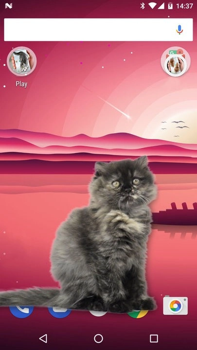 可爱猫动态屏幕图1