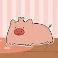 口袋宠物猪
