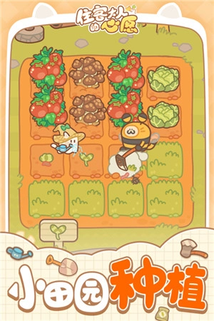 住客大人的心愿免广告版