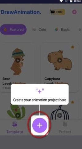 绘制动画(Draw Animation Marker)