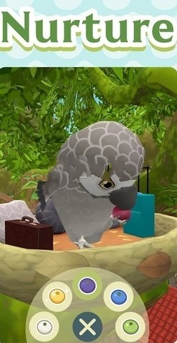 小鸟旅社(birdbnb)