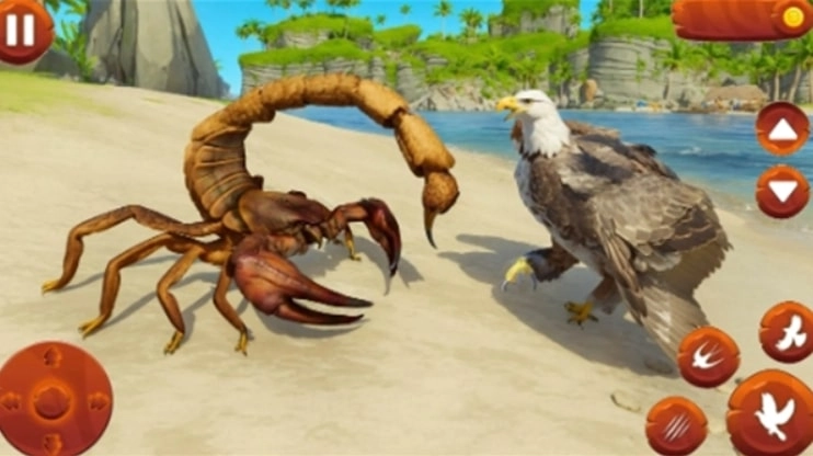 野生鸟类生活模拟器(野生鸟类生活模拟器安装器)(2)