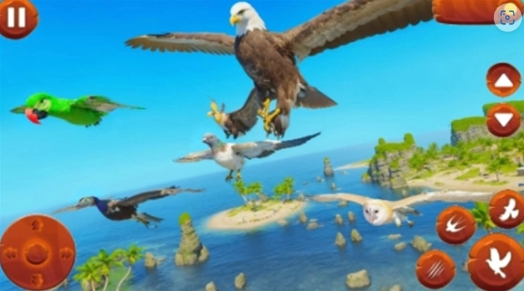 野生鸟类生活模拟器(野生鸟类生活模拟器安装器)(1)