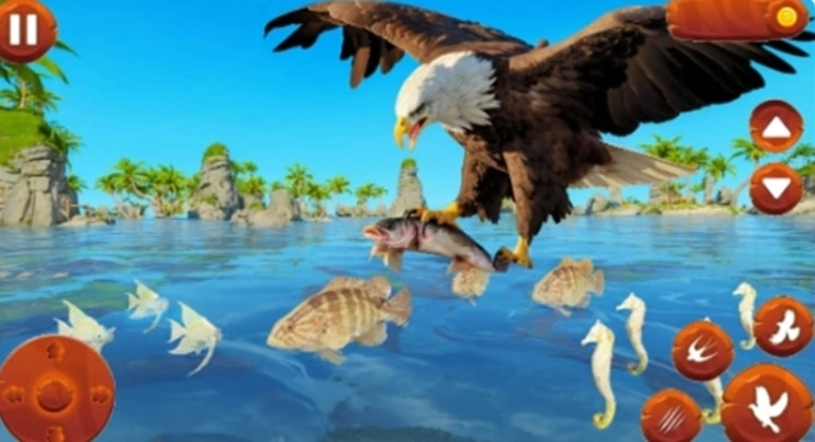 野生鸟类生活模拟器(野生鸟类生活模拟器安装器)(3)