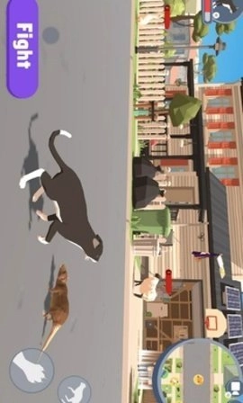 猫咪生活模拟图3