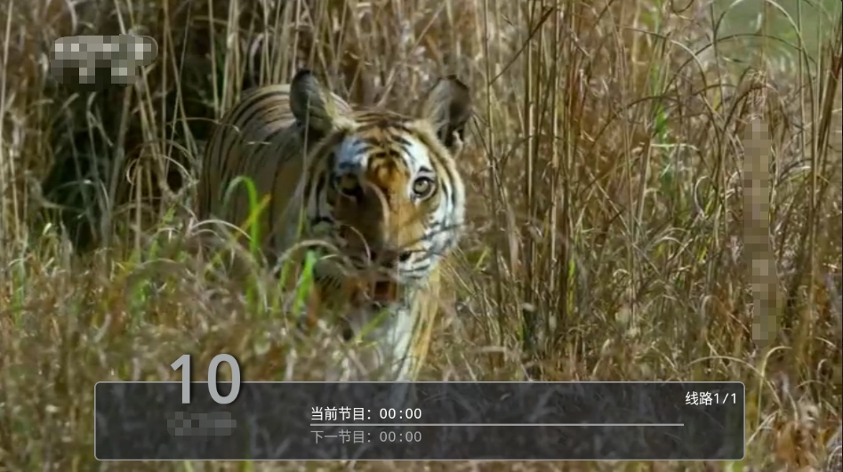 剧迷宝TV正版截图4