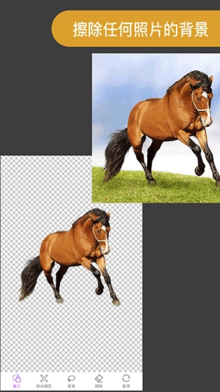 ProKnockout最新版(2)