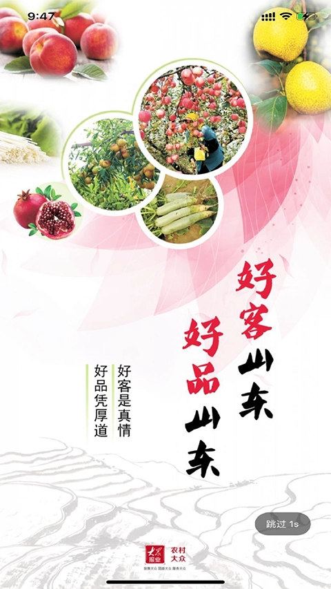 农村大众报数字报(4)