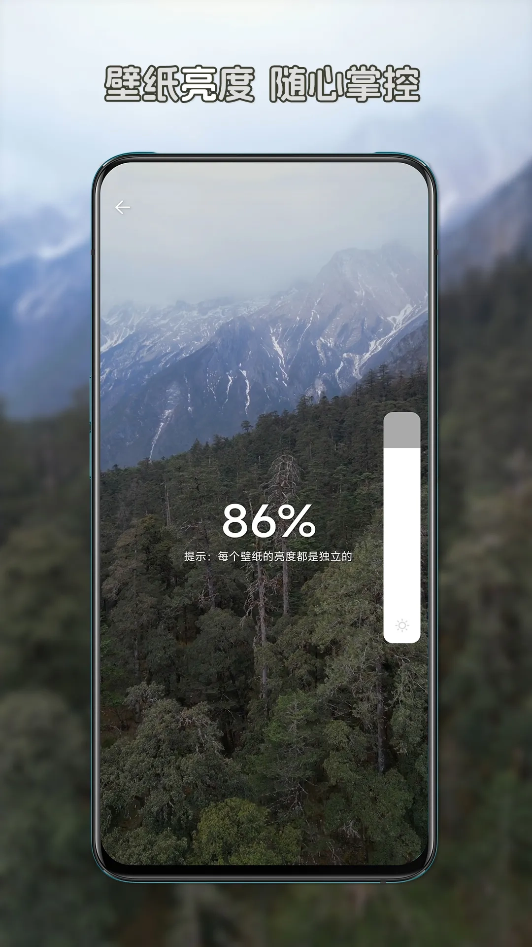 星咩视频壁纸软件图2