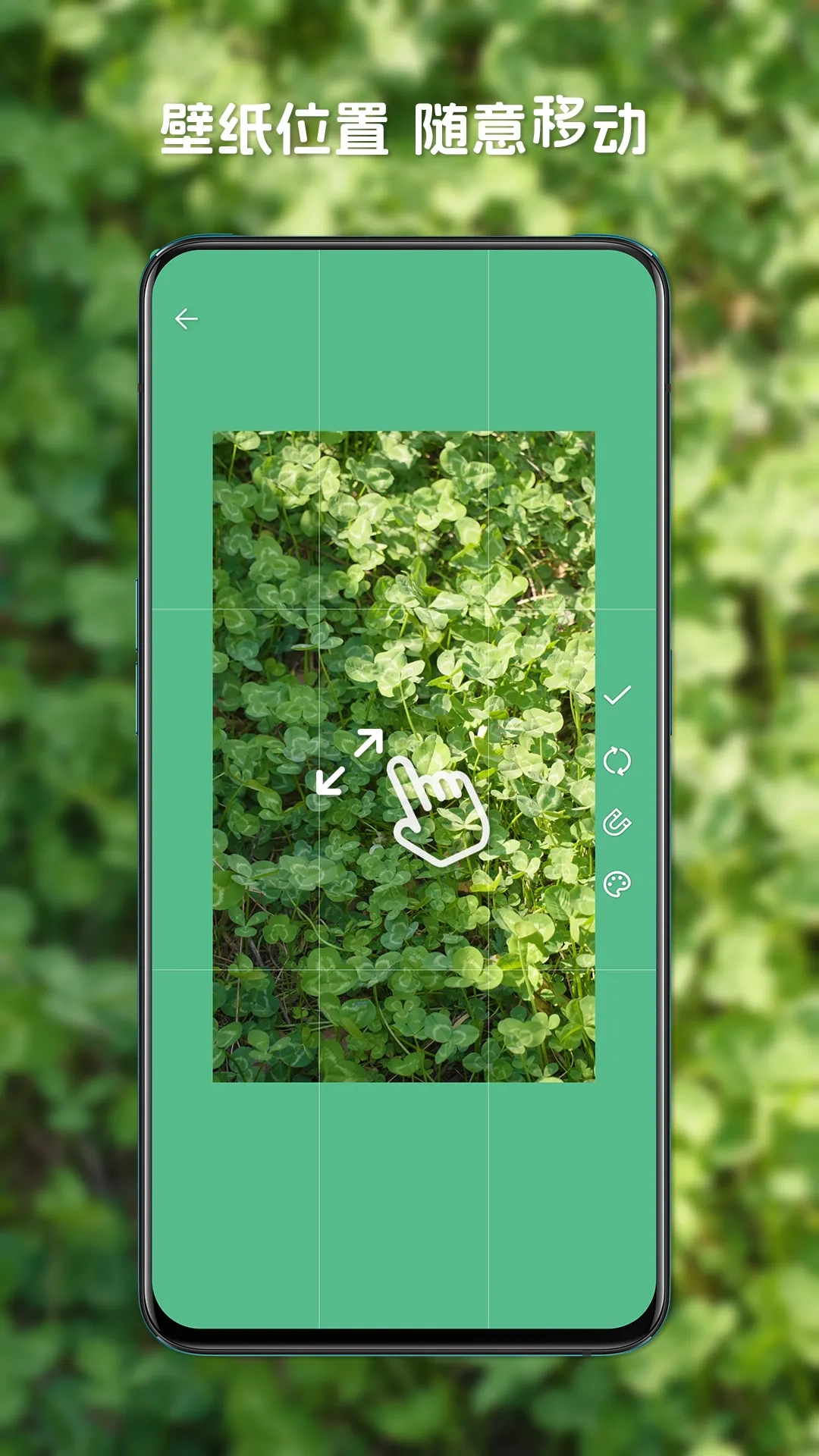 星咩视频壁纸软件图4