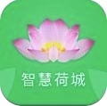 智慧荷城手机版