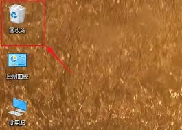 被promovie删除的视频要怎么恢复呢